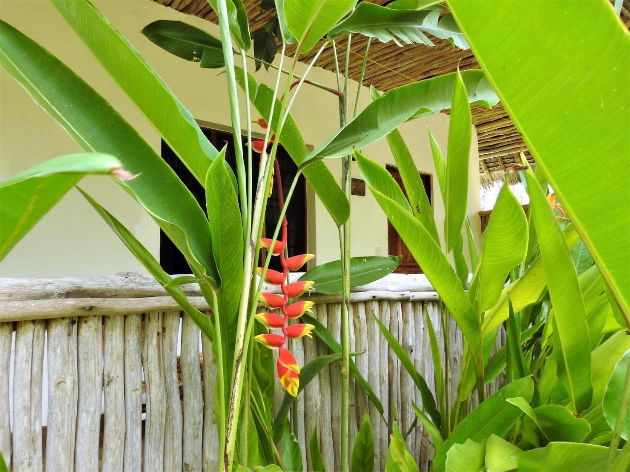 Sheba Cottages - Diani Beach Exterior foto